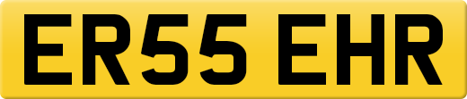 ER55EHR